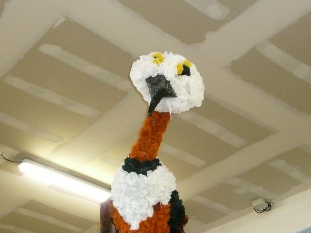 5 suivi 2012 2013 decembre (7).jpg